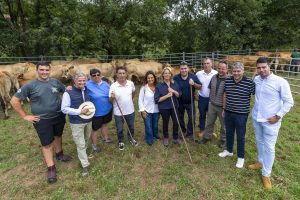 La Feria Altón Asón de Ruesga congrega a unos 700 animales de 40 ganaderías