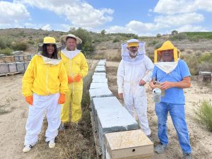 Más de 400 apicultores se podrán beneficiar de las ayudas al sector apícola este año