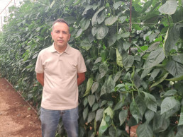El Colegio de Ingenieros Agrónomos impulsa un espacio de reflexión técnica sobre la filoxera en Canarias