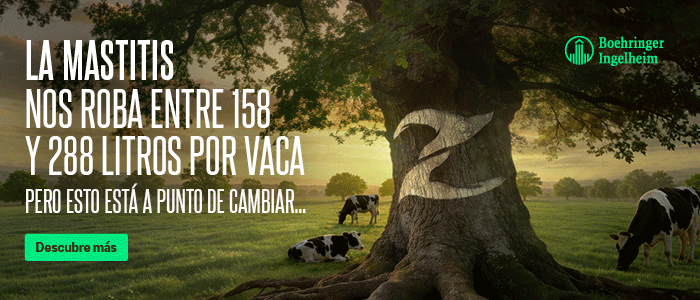 Boehringer Ingelheim Boehringer Ingelheim