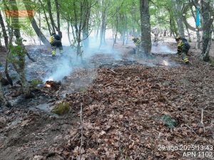 La Junta entrega hasta el momento más de 3.855.000 kilos de alimentos a 284 ganaderías afectadas por los incendios