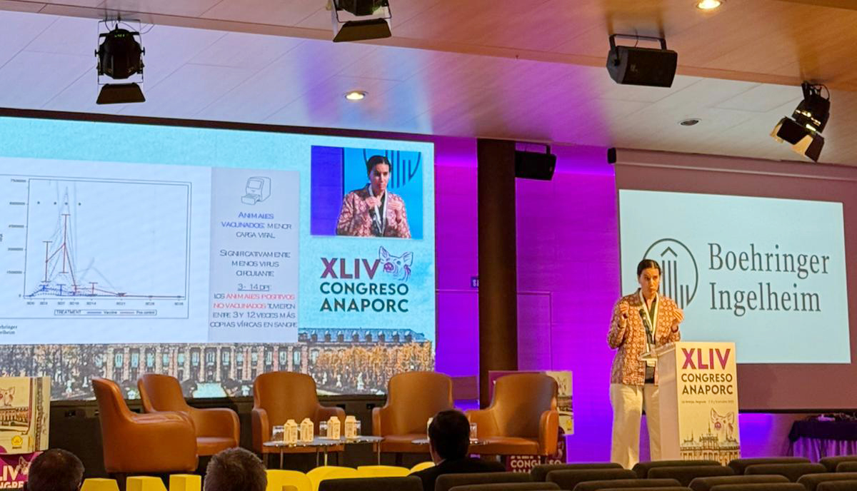 Boehringer Ingelheim refuerza su compromiso con la salud porcina a través de la innovación y el intercambio de conocimiento en Anaporc