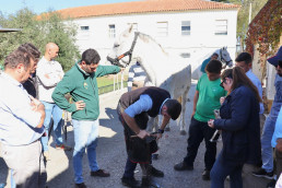 El Ifapa de Jerez oferta una nueva edición del curso básico de podología equina y herraje