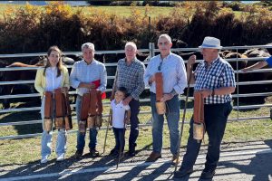 Más de 400 animales acuden a la concentración de ganado equino de Polaciones