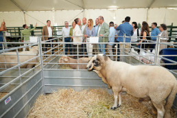 Asaja solicita al Ifapa que la sede de la XIII Escuela de Pastores de Andalucía 2026 sea en Benaocaz