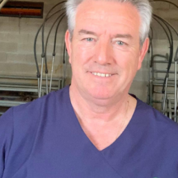 Opinión Antonio Palomo: EL SECTOR TRANSPARENTE