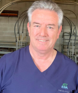 Opinión Antonio Palomo: MIOPÍA PRONÓSTICA