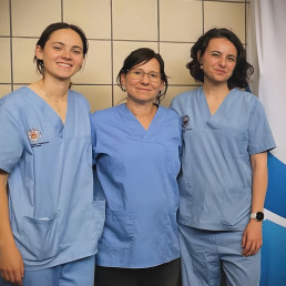 “Es la primera vez que se implanta un marcapasos a un caballo en España, hasta ahora, cuando se presentaba un caso así, el animal moría o se eutanasiaba” 