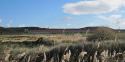 Agricultura simplifica la gestión de estiércoles y adapta los plazos a las necesidades del sector ganadero