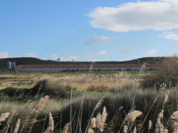 Agricultura simplifica la gestión de estiércoles y adapta los plazos a las necesidades del sector ganadero