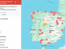 SEO/BirdLife publica un mapa de la gripe aviar en España: unos 50 episodios que afectan a una veintena de especies