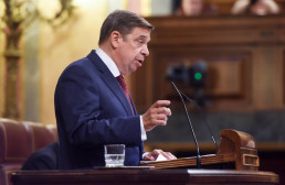 Planas pide tranquilidad ante gripe aviar, insiste en vigilancia y dice que puede haber incidencia en precio de huevos