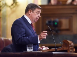 Planas pide tranquilidad ante gripe aviar, insiste en vigilancia y dice que puede haber incidencia en precio de huevos