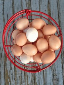 Avacu pide que los huevos tengan IVA al 0% mientras se prolongue la gripe aviar