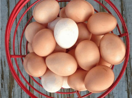 Avacu pide que los huevos tengan IVA al 0% mientras se prolongue la gripe aviar