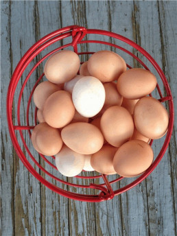 Avacu pide que los huevos tengan IVA al 0% mientras se prolongue la gripe aviar