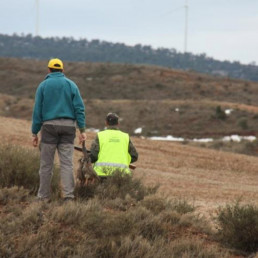 Agricultura regula el enterramiento de perros de caza y pastores para mejorar la seguridad alimentaria