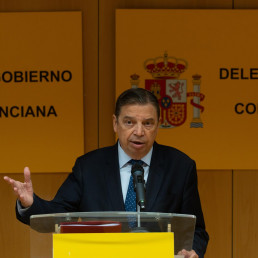 Planas considera que la gripe aviar tiene un impacto 