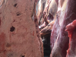 Los mataderos de CyL culpan a la PAC de su 