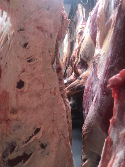 Los mataderos de CyL culpan a la PAC de su 