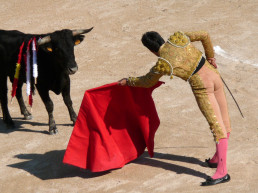 *Medidas cautelares contra la Dermatosis Nodular Contagiosa en espectáculos taurinos en Andalucía*