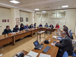 El Comité de Expertos en peste porcina africana celebra su primera reunión y fija una hoja de ruta coordinada