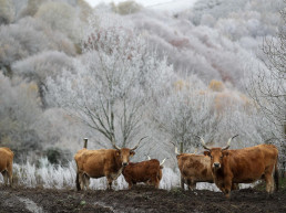 UPA pide al Ministerio de Agricultura que 