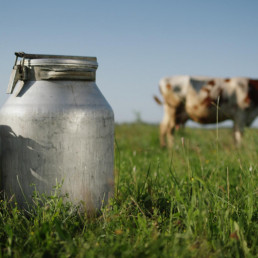 Agricultura trabaja en una nueva ayuda a la recogida de leche en las explotaciones en las zonas de montaña