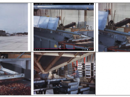 DOCUMENTAL Cochliomyia hominivorax, (Coquerel, 1858) (Gagne 1981). PRODUCIR PUPA Y MOSCA ESTÉRIL P V (5-6)