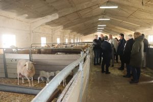 C-LM ultima su Plan Estratégico de Ganadería Extensiva con previsión de presentarse en próximas semanas