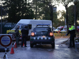 Confirmados otros 13 casos de PPA en el núcleo de Collserola (Barcelona)