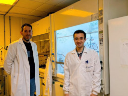 El INMA desarrollan un nuevo sensor rápido de bacterias peligrosas en los alimentos, como la salmonella o la listeria