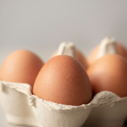 El ECDC advierte sobre la resistencia a los antimicrobianos de 'Salmonella' y otras bacterias transmitidas por alimentos