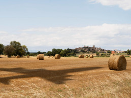 El Ministerio de Agricultura, Pesca y Alimentación impulsa la formación como herramienta de modernización en el medio rural