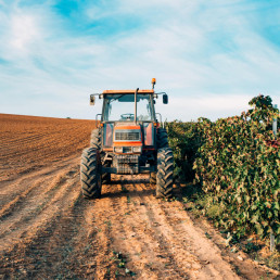 ASAJA denuncia una traición institucional al campo europeo tras la activación provisional del acuerdo con Mercosur