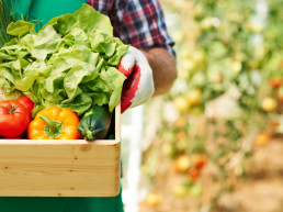 Luis Planas: “Los acuerdos comerciales son un instrumento para dar estabilidad al sector agroalimentario y diversificar las exportaciones”