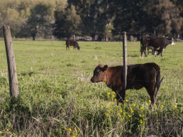 Begoña García defiende la estabilidad, rentabilidad y reglas claras para el sector agroalimentario ante la incertidumbre comercial internacional