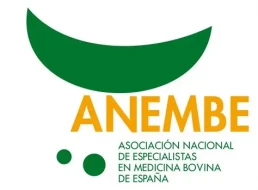 Alegaciones de ANEMBE al Real Decreto 666/2023