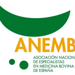 Alegaciones de ANEMBE al Real Decreto 666/2023