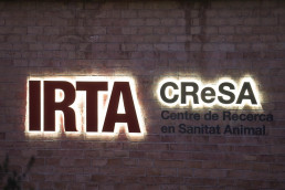 El informe del Ministerio descarta que el brote de PPA se originara en el Irta-CReSA