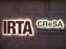 El informe del Ministerio descarta que el brote de PPA se originara en el Irta-CReSA