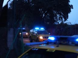 Detectan 13 nuevos casos de peste porcina, 2 de ellos fuera del radio inicial de Collserola (Barcelona)