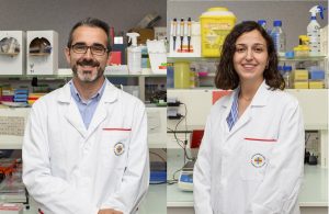 La CEU UCH y el Instituto Pasteur alertan sobre la falta de vigilancia de la listeriosis