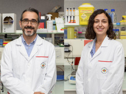 La CEU UCH y el Instituto Pasteur alertan sobre la falta de vigilancia de la listeriosis