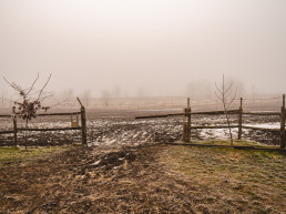 El Ministerio de Agricultura, Pesca y Alimentación abona 23,9 millones de euros de incremento de la ayuda al seguro agrario a agricultores y ganaderos perjudicados por las borrascas