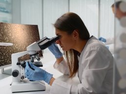 El trabajo de los veterinarios en mataderos garantiza la transparencia en los procesos y la seguridad alimentaria de los productos cárnicos