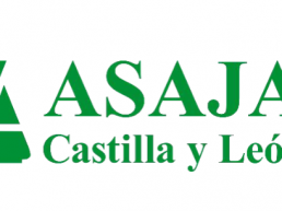 ASAJA apoya a la Junta frente a los irresponsables que han recurrido el levantamiento del agotamiento de pastos en montes quemados