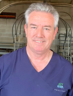 Opinión de Antonio Palomo: ME RENTA