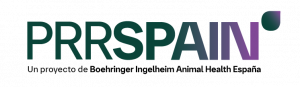 PRRSPAIN, la plataforma de Boehringer Ingelheim para medir el impacto real de PRRS en la granja