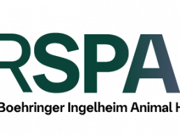 PRRSPAIN, la plataforma de Boehringer Ingelheim para medir el impacto real de PRRS en la granja